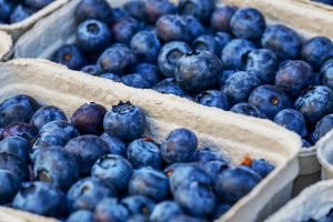 Blueberries Berries Fruit Healthy - Couleur / Pixabay